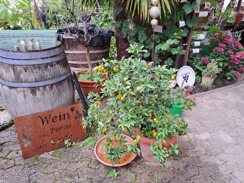 Bioweingut Laurentiushof - Bioweingut Laurentiushof, Gartenstraße 13, 56814 Bremm, Germany
