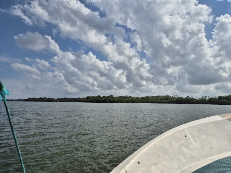 Madu Queen Boat Safari | Madu River - Madu Queen Boat Safari | Madu River, Nandana Gardens, Balapitiya 80550, Sri Lanka