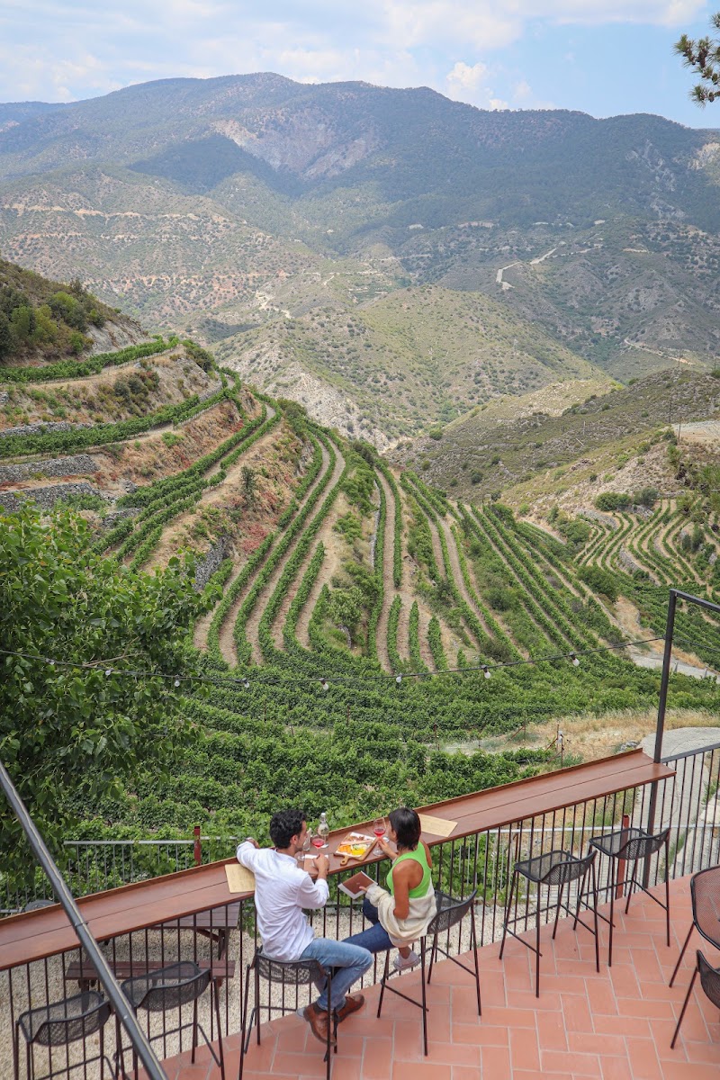 Tsiakkas Winery