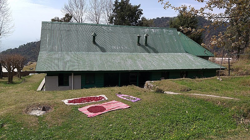 Forest Rest House Kareri - Forest Rest House Kareri 77JJ+954, Dharamshala, Kareri Khas, Himachal Pradesh 176216, India