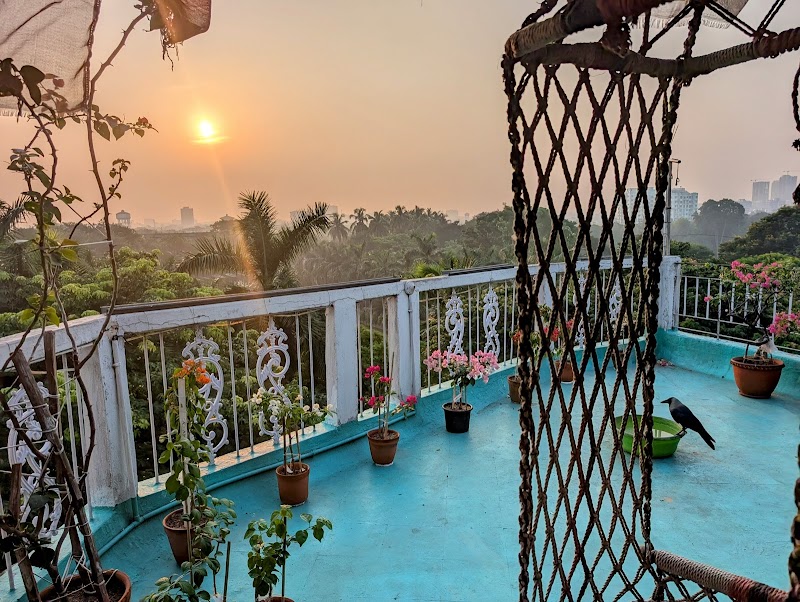 Owl's Nest Homestay - Owl's Nest Homestay 5th Floor, 185/B, Raja Dinendra St, Shyambazar, Fariapukur, Shyam Bazar, Kolkata, West Bengal 700004, India