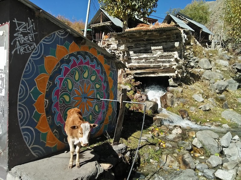 Chitkul - Chitkul Chitkul, Himachal Pradesh 172106, India