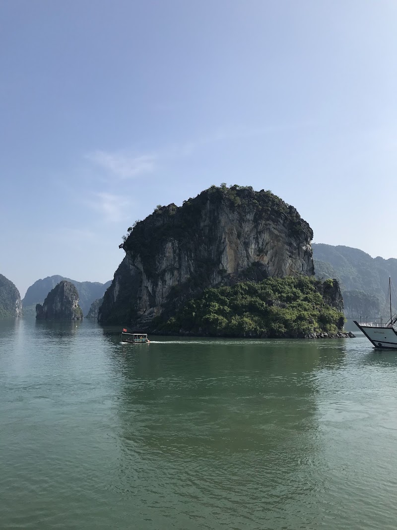 Halong Dragon Bay Cruise - Halong Dragon Bay Cruise, Terminal 26, Tuan Chau port, Tuan Chau Ward, Halong city, Tuần Châu, Quảng Ninh 01125, Vietnam