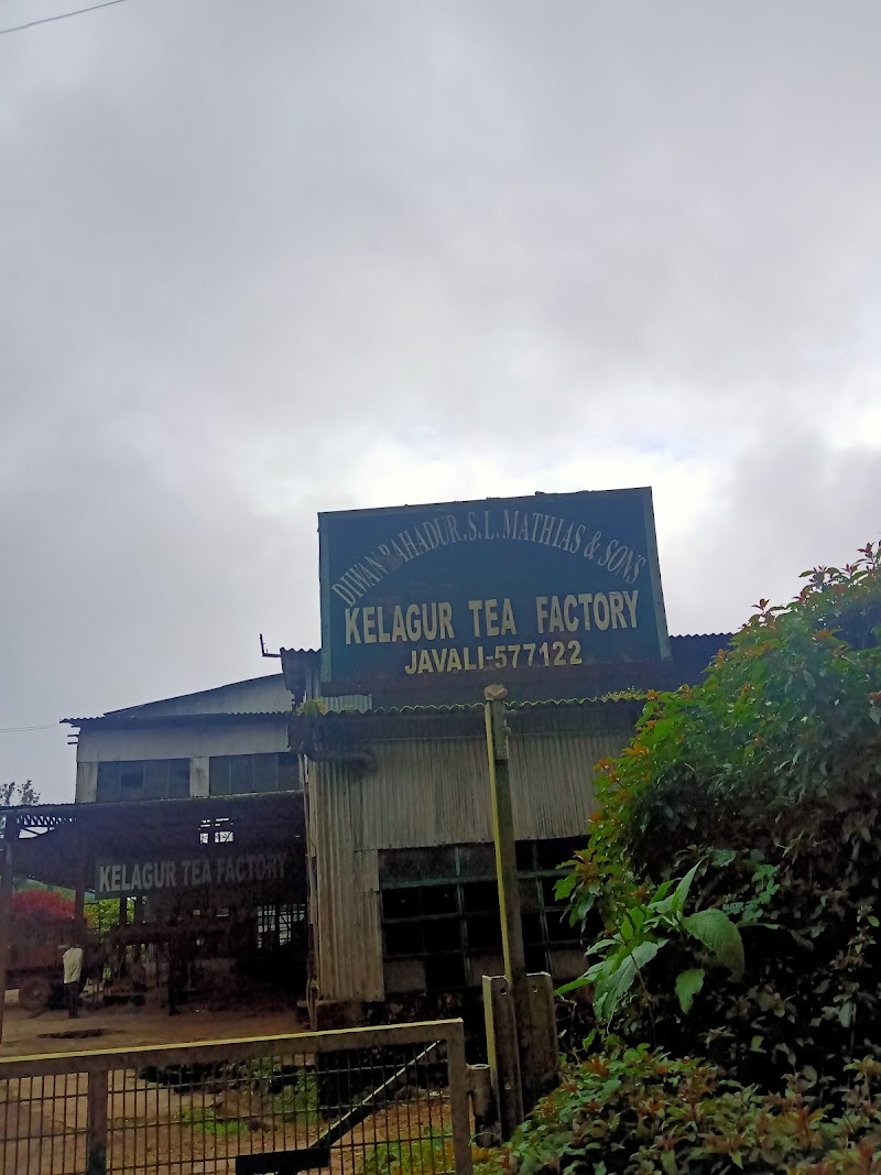 Kelagur Tea Factory - Kelagur Tea Factory, 5F27+H5R, Kelagur, Megur, Karnataka 577122, India