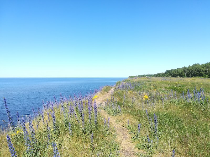 Pakri Peninsula - Pakri Peninsula, Paldiski, 76806 Harju County, Estonia