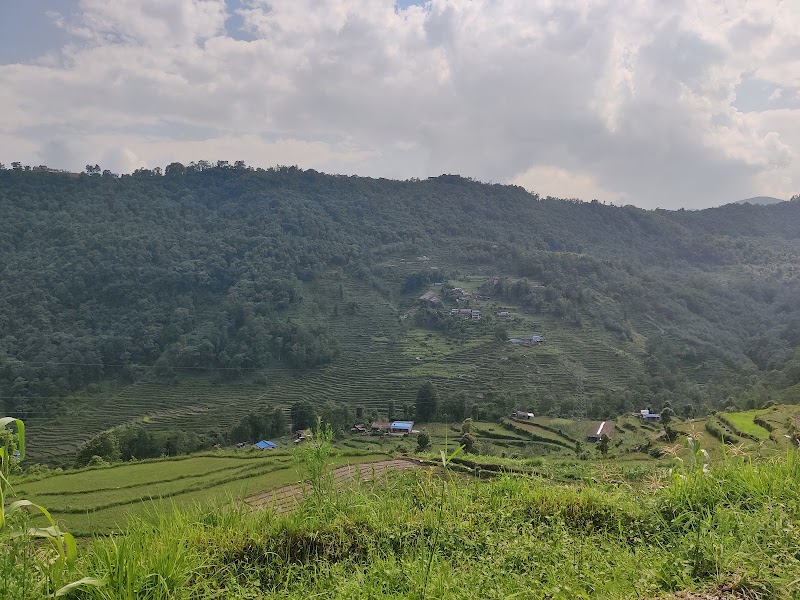 Dhampus Hike Start Point - Dhampus Hike Start Point, 7VQ6+R47, Dhampus 33700, Nepal