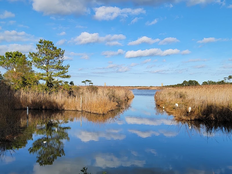 Cape Henlopen State Park - Cape Henlopen State Park 15099 Cape Henlopen Dr, Lewes, DE 19958, USA
