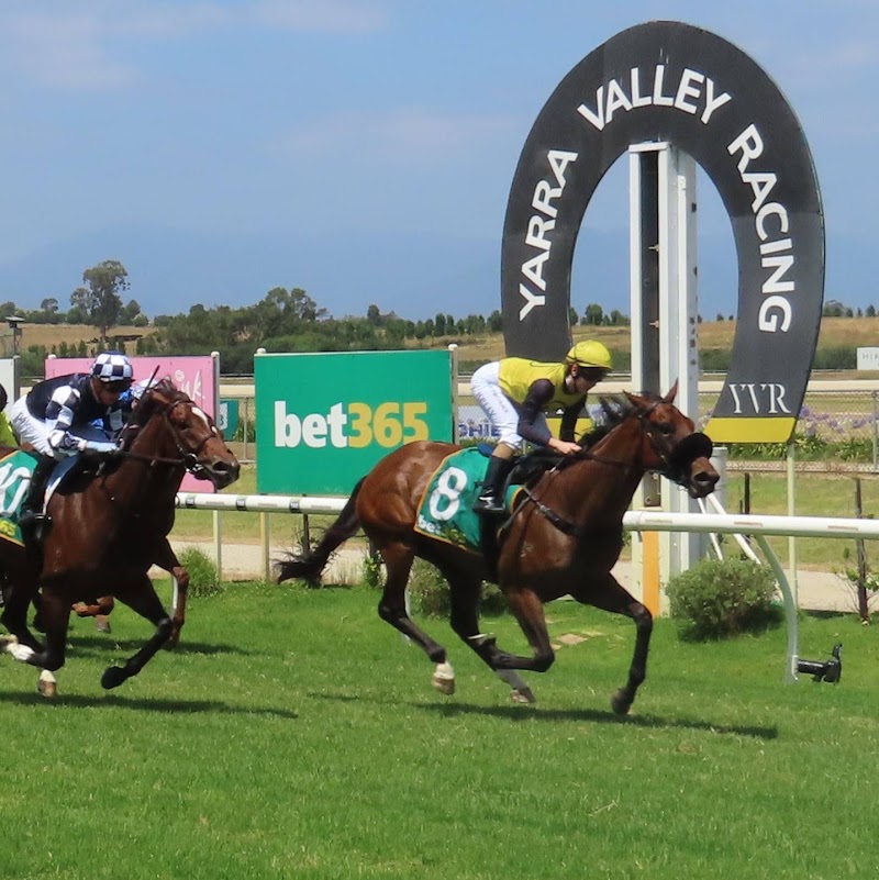 Yarra Valley Racing - Yarra Valley Racing, Armstrong Grove, Yarra Glen VIC 3775, Australia