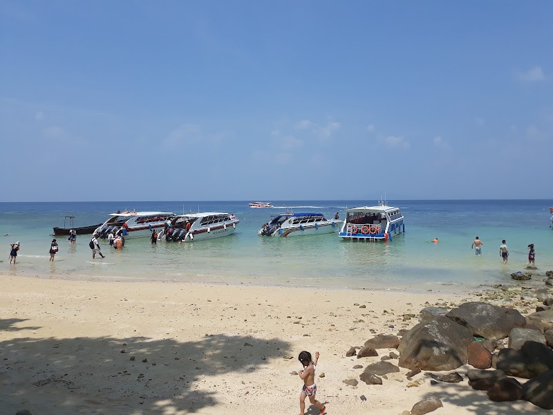 Phi Phi Islands - Phi Phi Islands Phi Phi Islands, Mueang Krabi District, Krabi, Thailand