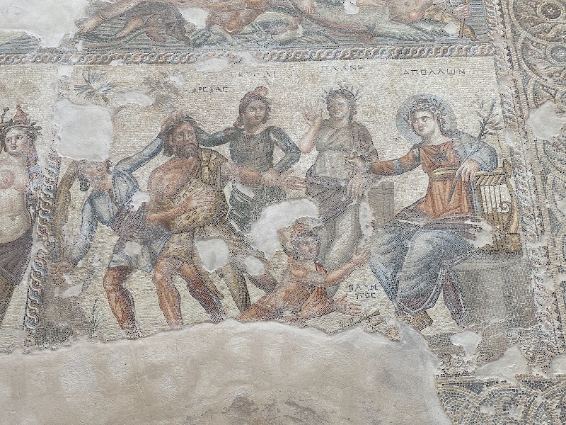 Paphos Mosaics