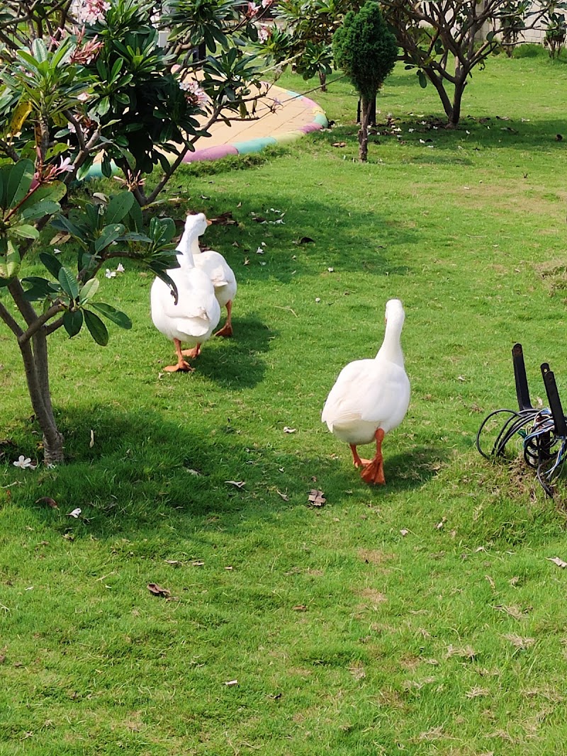 Wonder World - Wonder World Mungeli Main Road, Opp. Kanan Pendari Zoo, Bilaspur, Chhattisgarh 495003, India