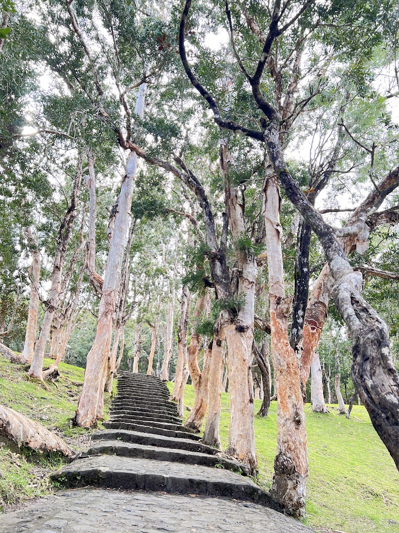 Alexandra Falls - Alexandra Falls, 30 Old Moka Rd, Mauritius