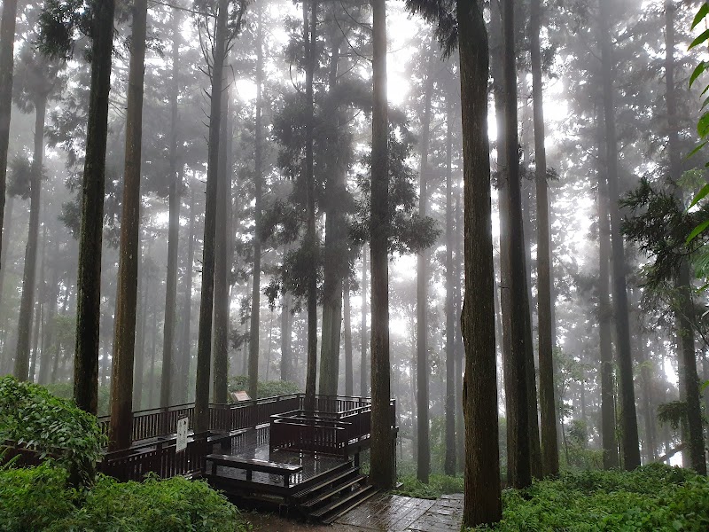 雲之道步道南口 - 雲之道步道南口 Zhonghe Village, Zhuqi Township, Chiayi County, Taiwan 604