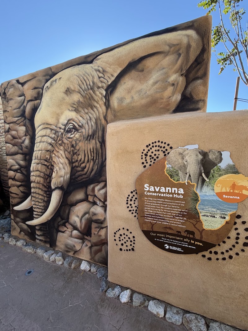 Elephant Valley - Elephant Valley San Diego Zoo Safari Park, 15500 San Pasqual Valley Rd, Escondido, CA 92027, USA