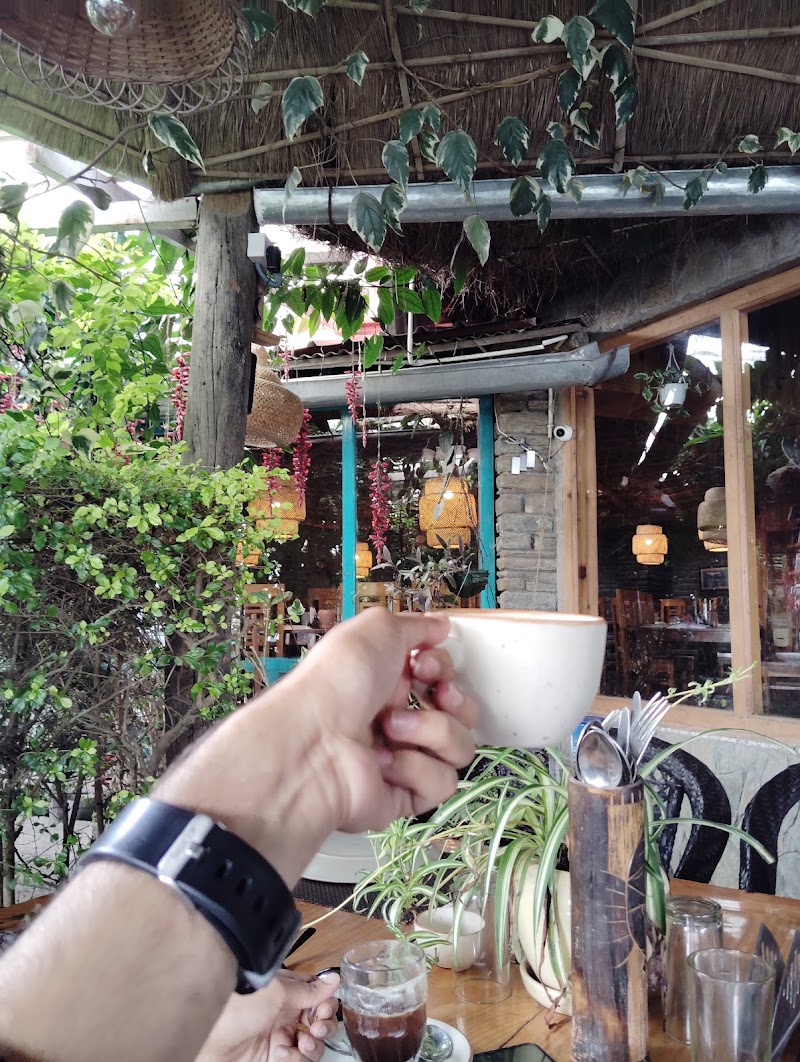 Mohan's Cafe - Mohan's Cafe, Road, near Kasar Devi Temple, Binsar, Mat, Uttarakhand 263601, India