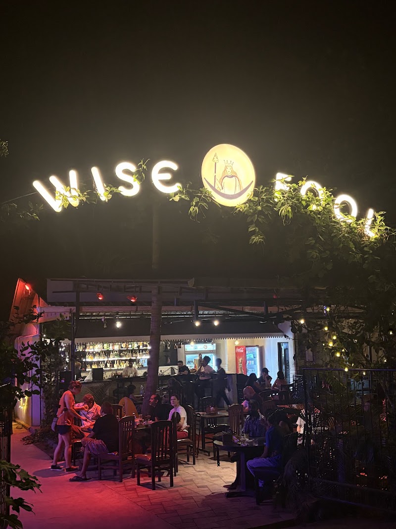 Wise Fool