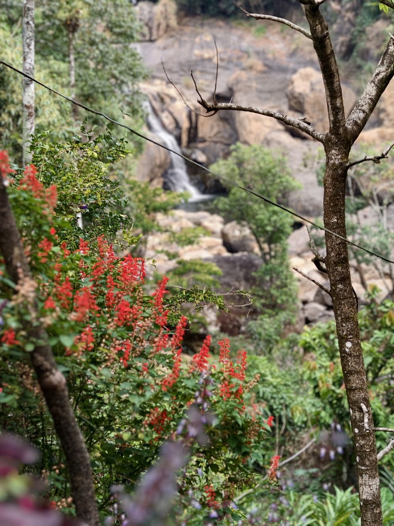 Hidden waterfall - Hidden waterfall 23P4+WF, Chithirapuram, Keralam 685565, India