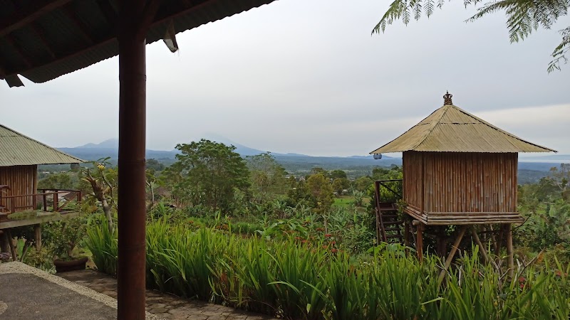 Bali Tree House