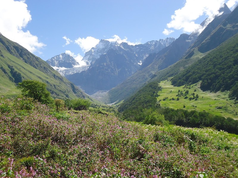 Nanda Devi National Park - Nanda Devi National Park, Garpak, Uttarakhand 246443, India