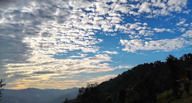 The Village - Homestay - The Village - Homestay, JF28+H9G, Garhi, Uttarakhand 263651, India