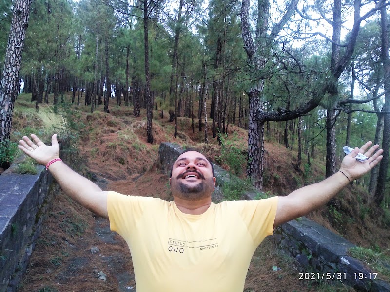 pine villa - pine villa Lawrence school Road Sukhi Johri Chowk, Dharampur, Himachal Pradesh 173209, India