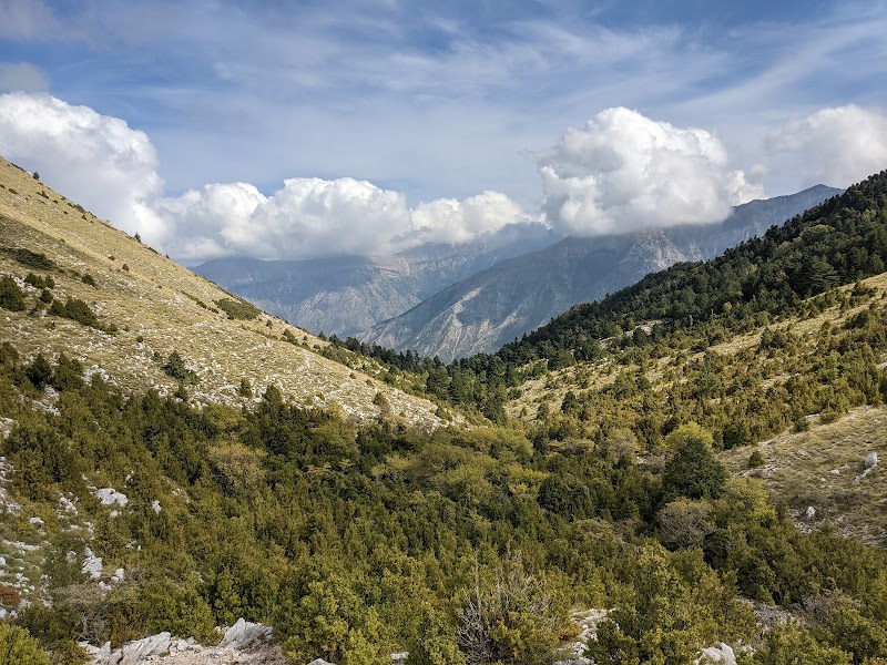 Llogara National Park - Llogara National Park, 6H7G+535, SH8, Albania