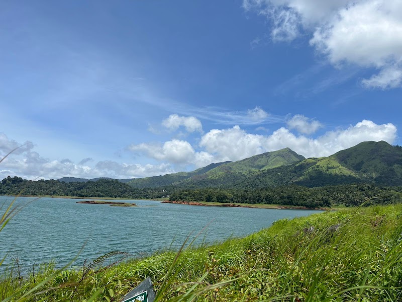 Banasura Ayurvedic &spices garden