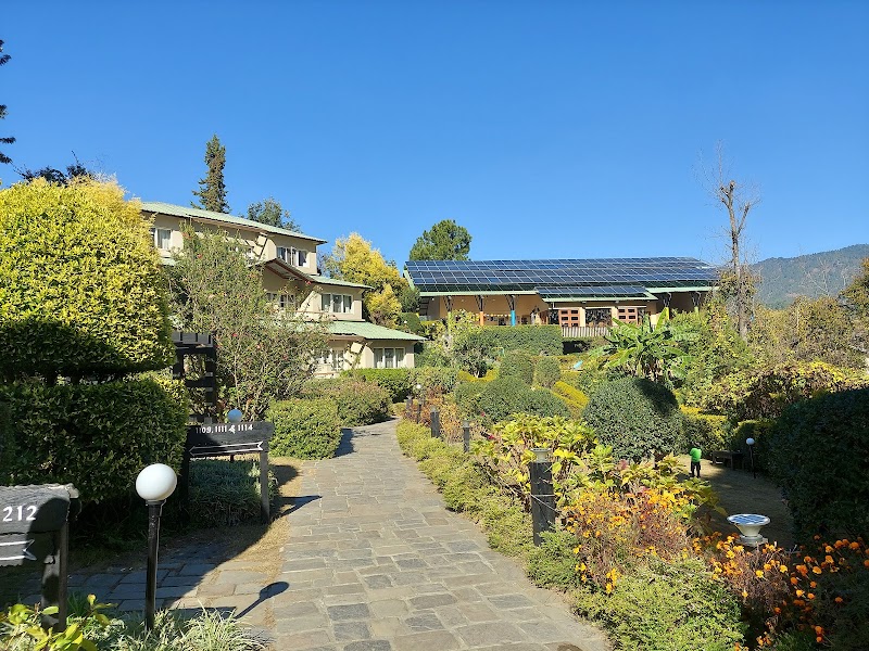 Binsar - Binsar Binsar, Uttarakhand, India