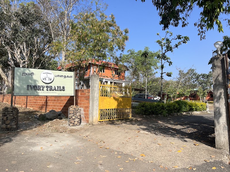 The Ivory Trails Jungle Resorts - The Ivory Trails Jungle Resorts, No: 10/86, Singara Road, Near Santhi Vijai Metric School, Masinagudi, Mudumalai, Masinagudi, Tamil Nadu 643223, India