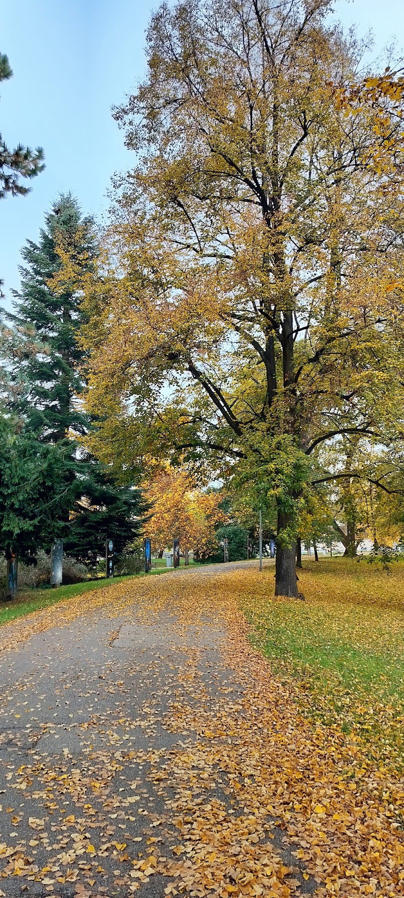 Park Háječek - Park Háječek, 370 01 České Budějovice-České Budějovice 1, Czechia