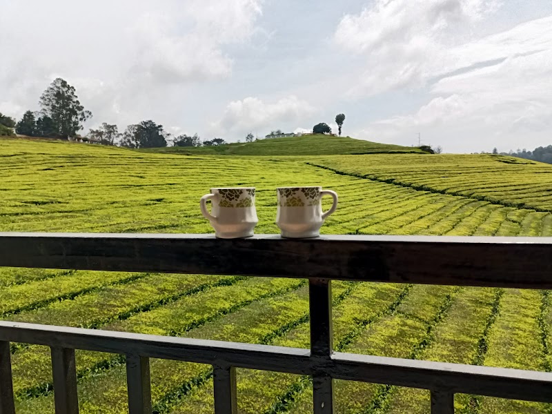 Tea Estate view Stay - Tea Estate view Stay SF No: G/1/44/1, Thittukkal Salai, Governor, Sola road, West Mere, Ooty, Tamil Nadu 643004, India
