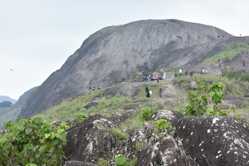 Thangalpara - Thangalpara MW85+65F, Vagamon, Keralam 685501, India