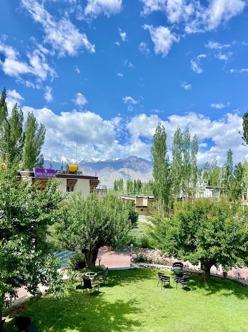 Hotel Palam Hills - Hotel Palam Hills Fort Rd, Leh, 194101