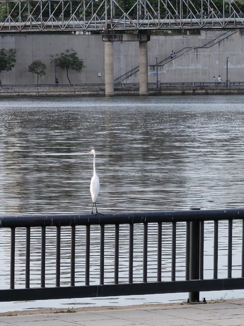 Sabarmati Riverfront Subhash Bridge View Point - Sabarmati Riverfront Subhash Bridge View Point, 3H5M+GQW, Dudheshwar, Ahmedabad, Gujarat 380004, India