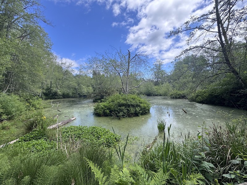 Bloedel Reserve - Bloedel Reserve, 7571 NE Dolphin Dr, Bainbridge Island, WA 98110, USA