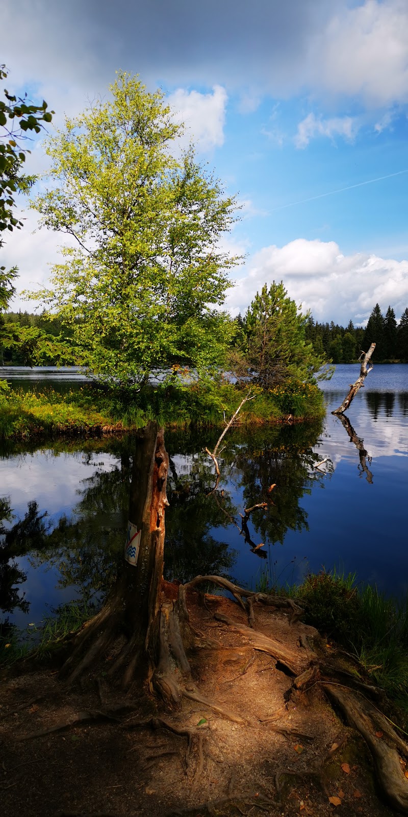 Mariánské Lázně - Mariánské Lázně, 353 01 Mariánské Lázně-Mariánské Lázně 1, Czechia