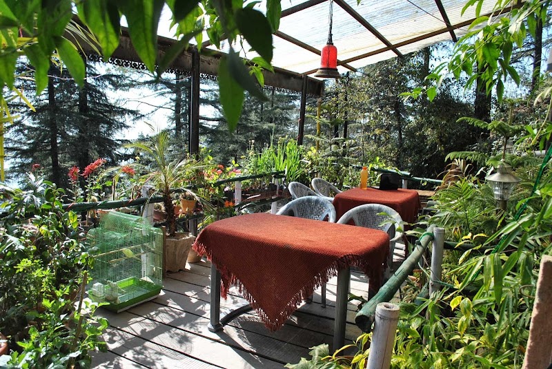 Mcleodganj Bed & Breakfast - Mcleodganj Bed & Breakfast Flourshing Flora, Dharamkot Rd, opposite TIPA Gate, McLeod Ganj, Dharamshala, Himachal Pradesh 176215, India