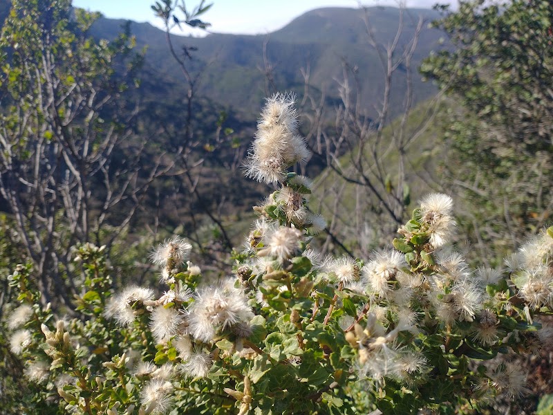 Montara Mountain Trailhead - Montara Mountain Trailhead 600 Oddstad Blvd, Pacifica, CA 94044, USA