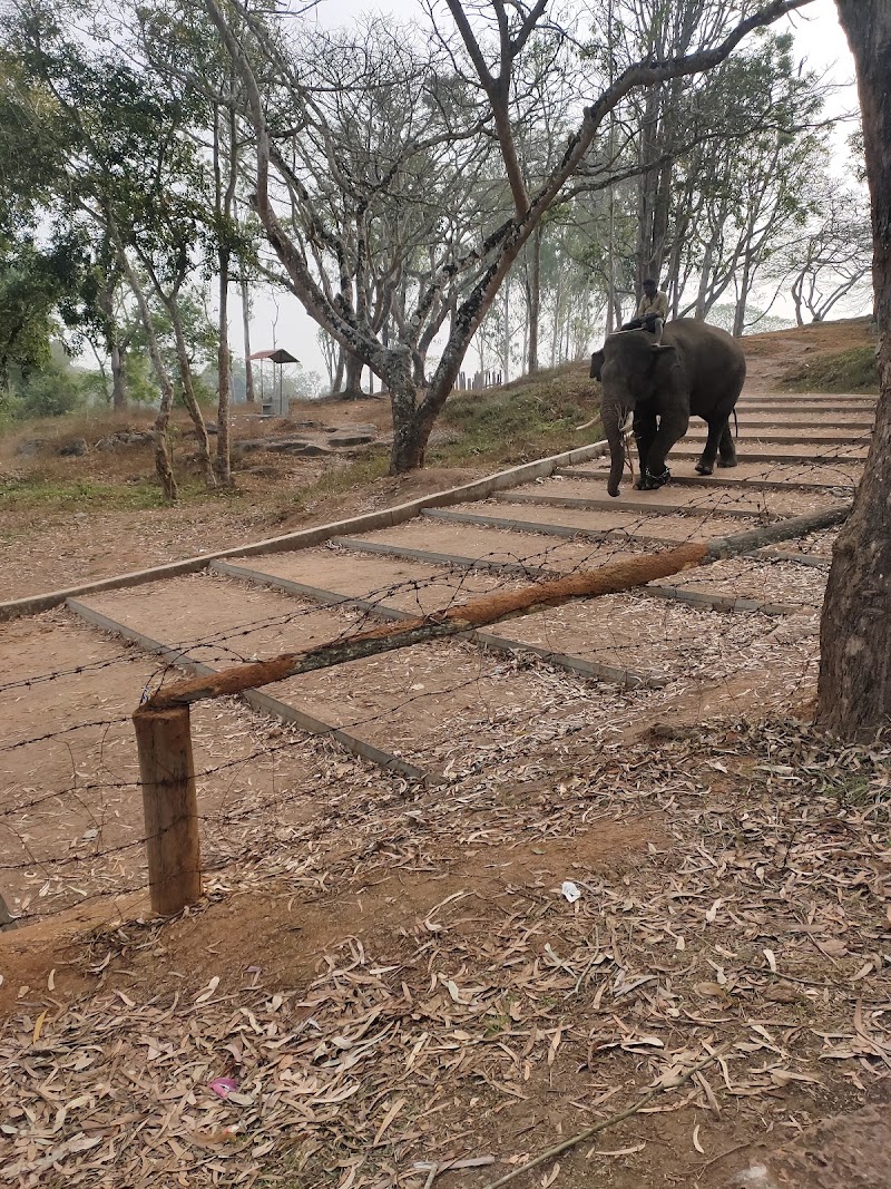 Dubare prestige - Dubare prestige 9WF2+MFC, Nanjarayapatna, Karnataka 571234, India