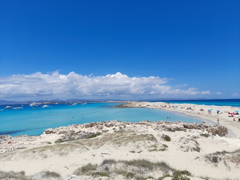 Platja de Ses Illetes - Platja de Ses Illetes, 07871, Illes Balears, Spain