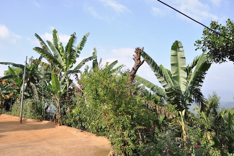 Giri Mane Homestay - Giri Mane Homestay, Jarkuni, Mullodi, Samse Post, Kudremukh Road Kalasa, Taluk, Samse, Karnataka 577124, India