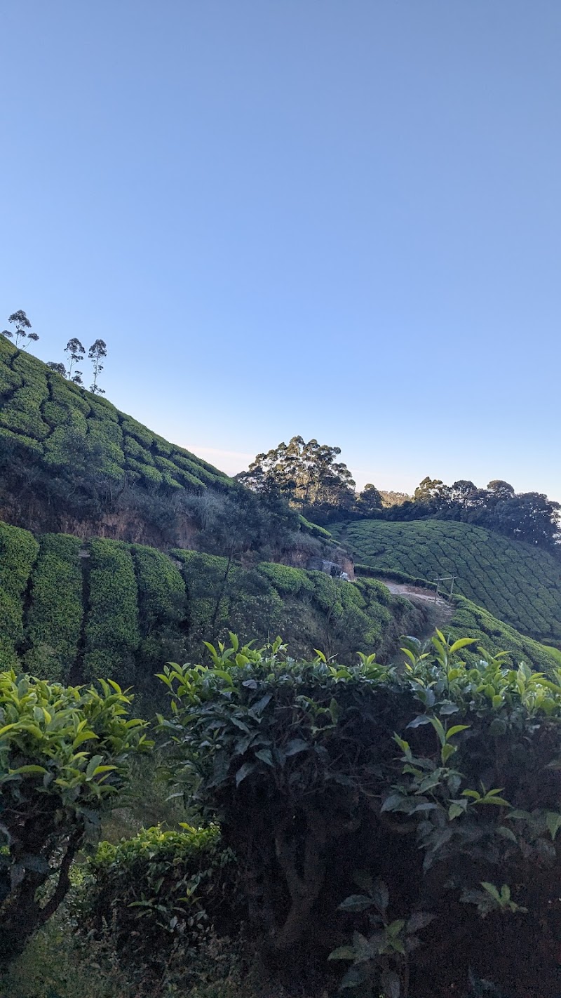 Suryanelli Kolukkumalai Road - Suryanelli Kolukkumalai Road 27C5+WC, Bodi Hill North, Tamil Nadu 685618, India