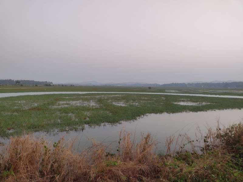 Ilha de Rachol - Ilha de Rachol, Rachol, Shelvan, Goa 403719, India