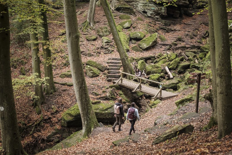 Mullerthal Trail - Mullerthal Trail, B.P. 152, 6402 Mullerthal Echternach, Luxembourg