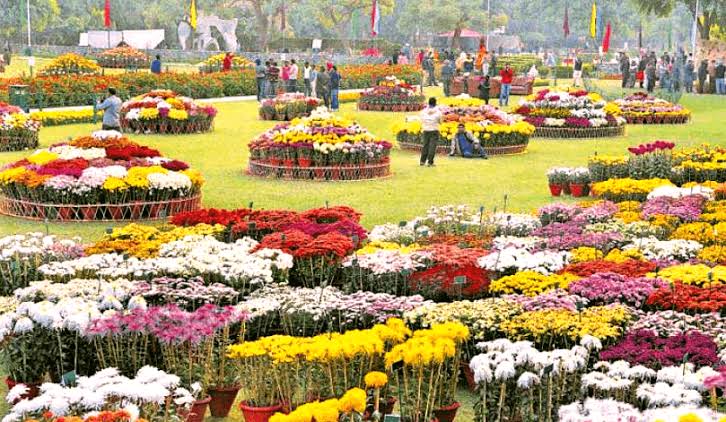 Terraced Garden - Terraced Garden 33 Market Rd, Sector 33B, Sector 33, Chandigarh, 160020, India