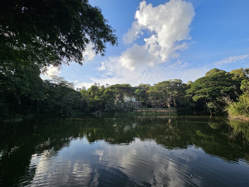 Sankey Tank Park - Sankey Tank Park 2H5F+F2F, Sankey Tank Trail, Kodandarampura, Malleshwaram, Bengaluru, Karnataka 560080, India