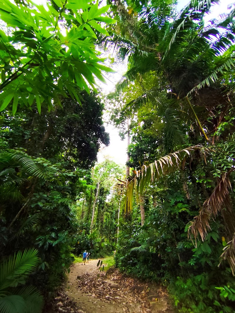 Walking Path To Elephant Beach - Walking Path To Elephant Beach 2X57+FCJ, SH4, Andaman and Nicobar Islands 744211, India