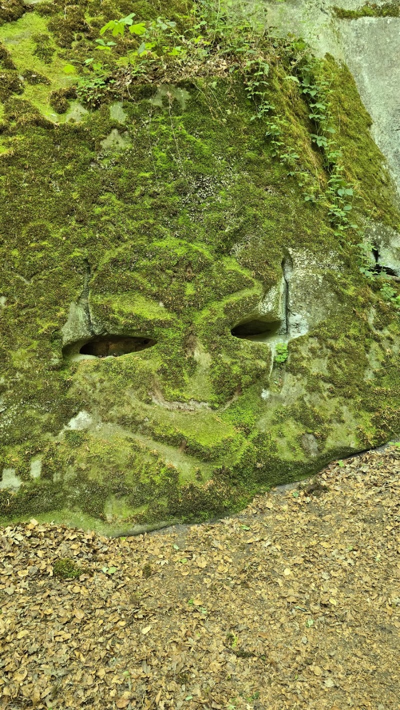 Labyrinthe - Labyrinthe, CR364, 6550 Berdorf, Luxembourg