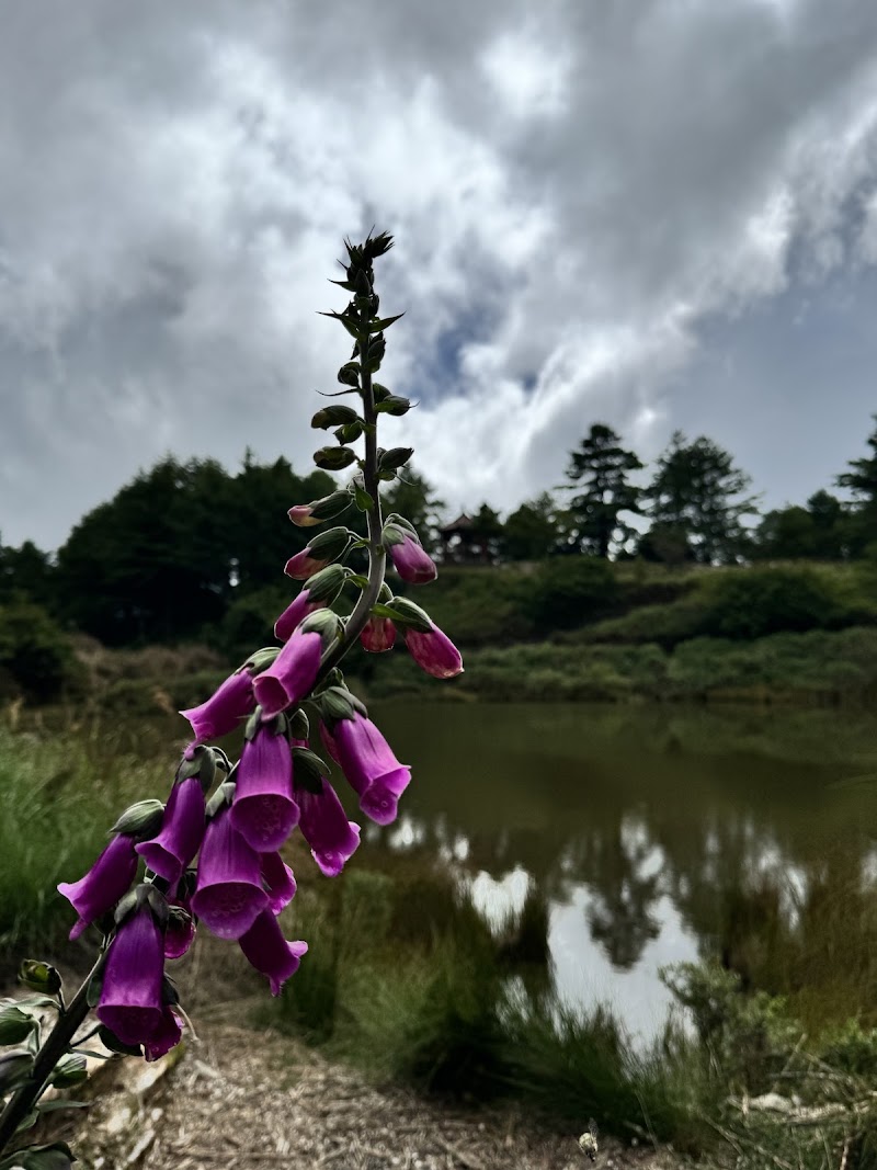 Xiaoxueshan Heavenly Pool - Xiaoxueshan Heavenly Pool, 424, Taiwan, Taichung City, Heping District, Daguan Village, Xueshan Road, 18號49K處大雪山林道