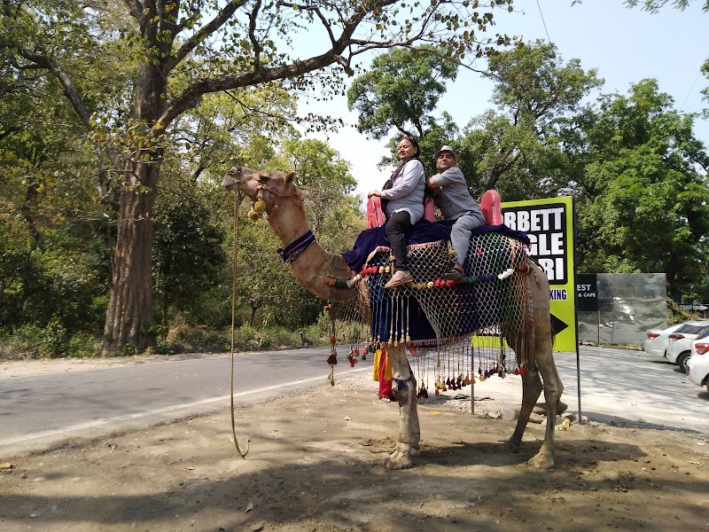 Online corbett jungle safari tour & travels - Online corbett jungle safari tour & travels Namah Rattan, Manu Maharani Rd, Dhikuli, Garjiya, Uttarakhand 244715, India